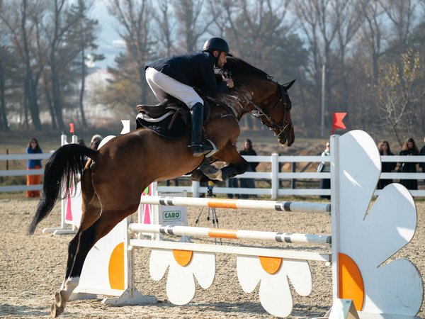 What Future Trends Will Shape the Next Generation of UK Sports?